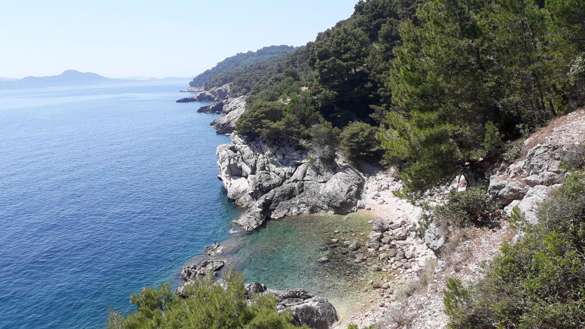 Marija - 50m From Apartment