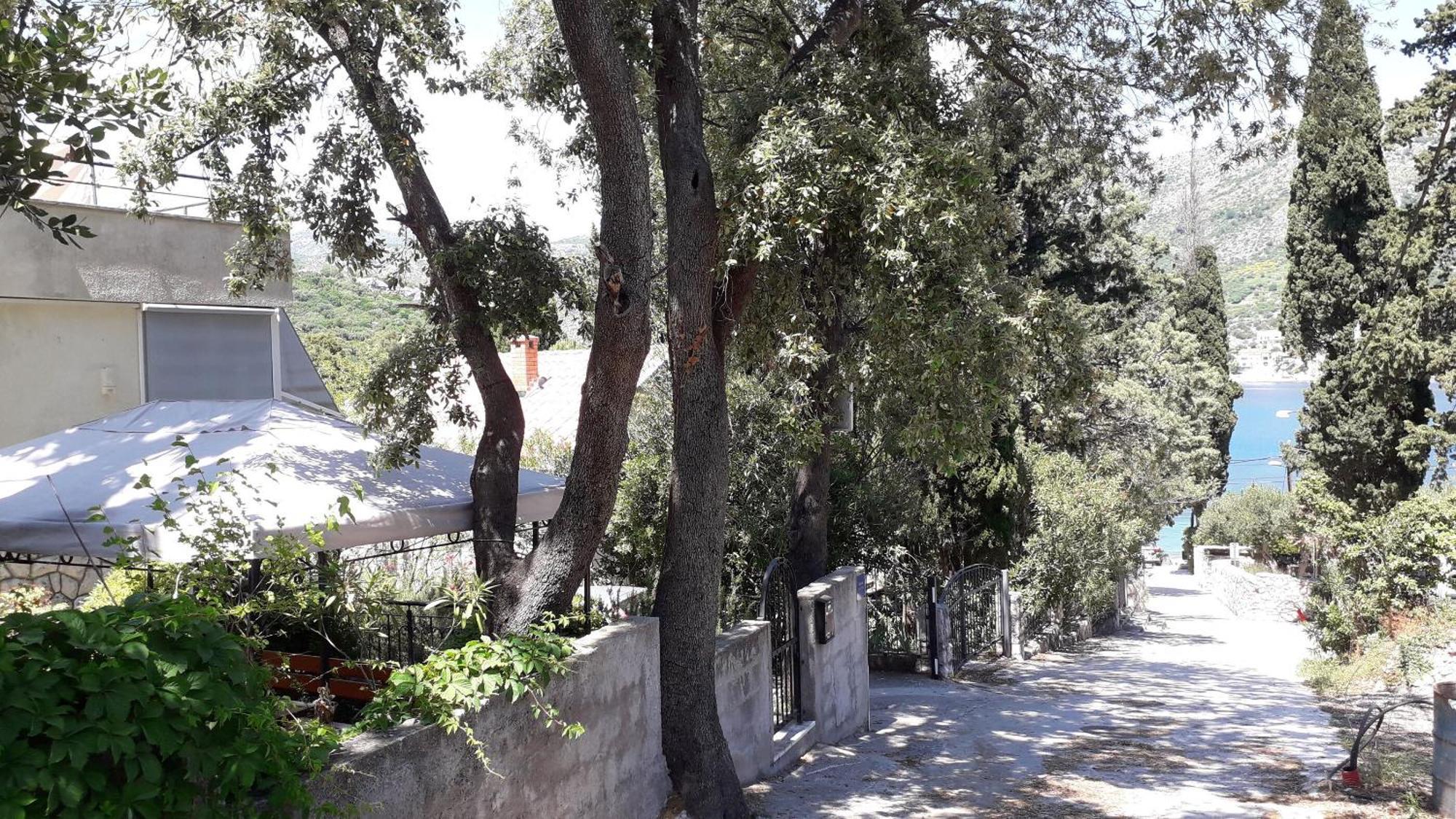 Marija - 50m From Zaton (Dubrovnik-Neretva)
